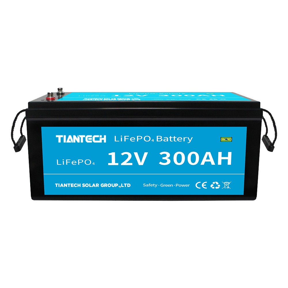 Bulit-in BMS LiFePO4 Battery