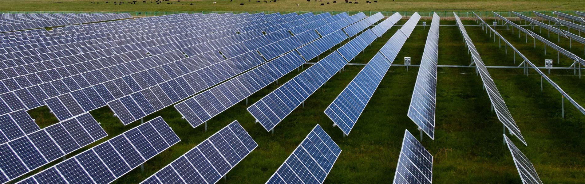 Solar Panel Manufacturer