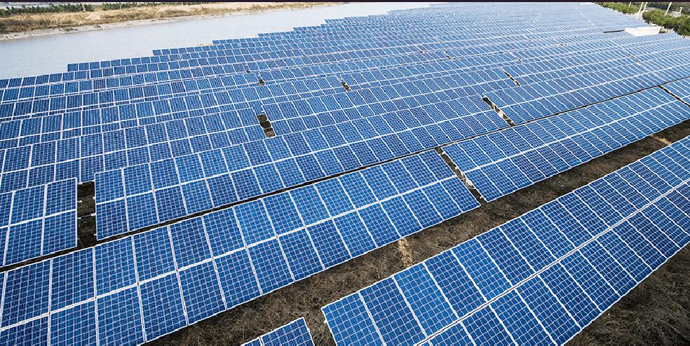 Renewable Energy Surpasses Coal as the Largest Source of Electricity Worldwide