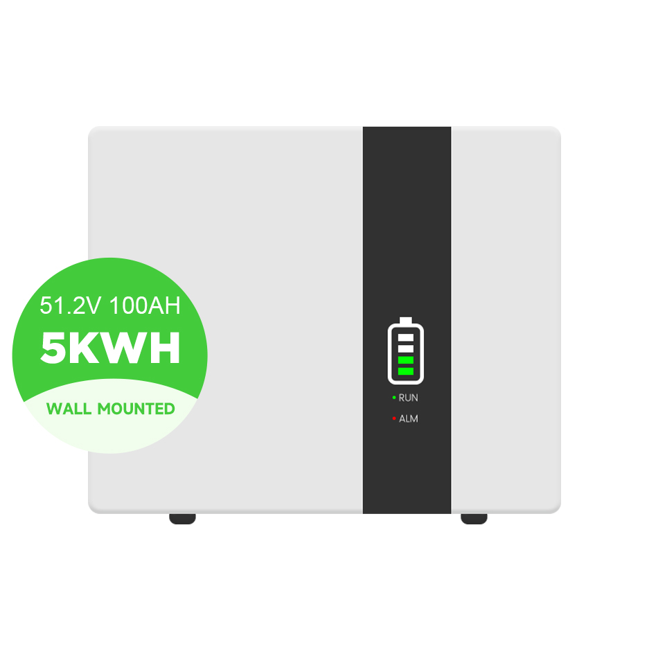 51.2V 100Ah 5Kwh European Warehouse Wall Mounted Lithium Battery